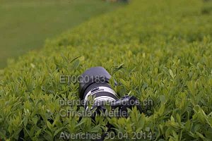 zoom